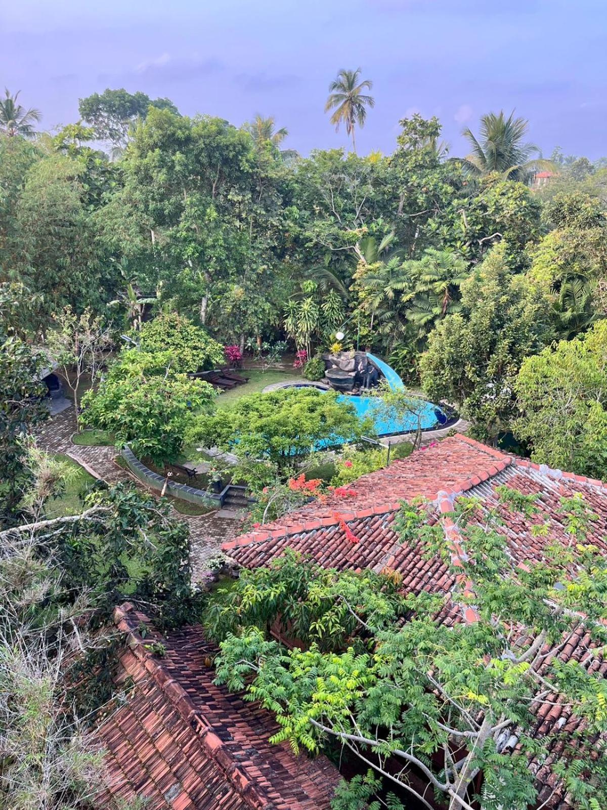 Villa 80 Bentota Exterior photo